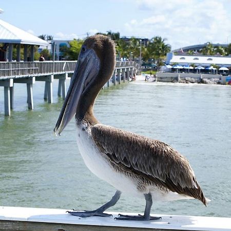Manatee Bay Inn Fort Myers Beach Esterno foto